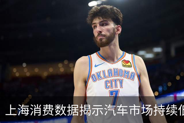 上海消费数据揭示汽车市场持续低迷